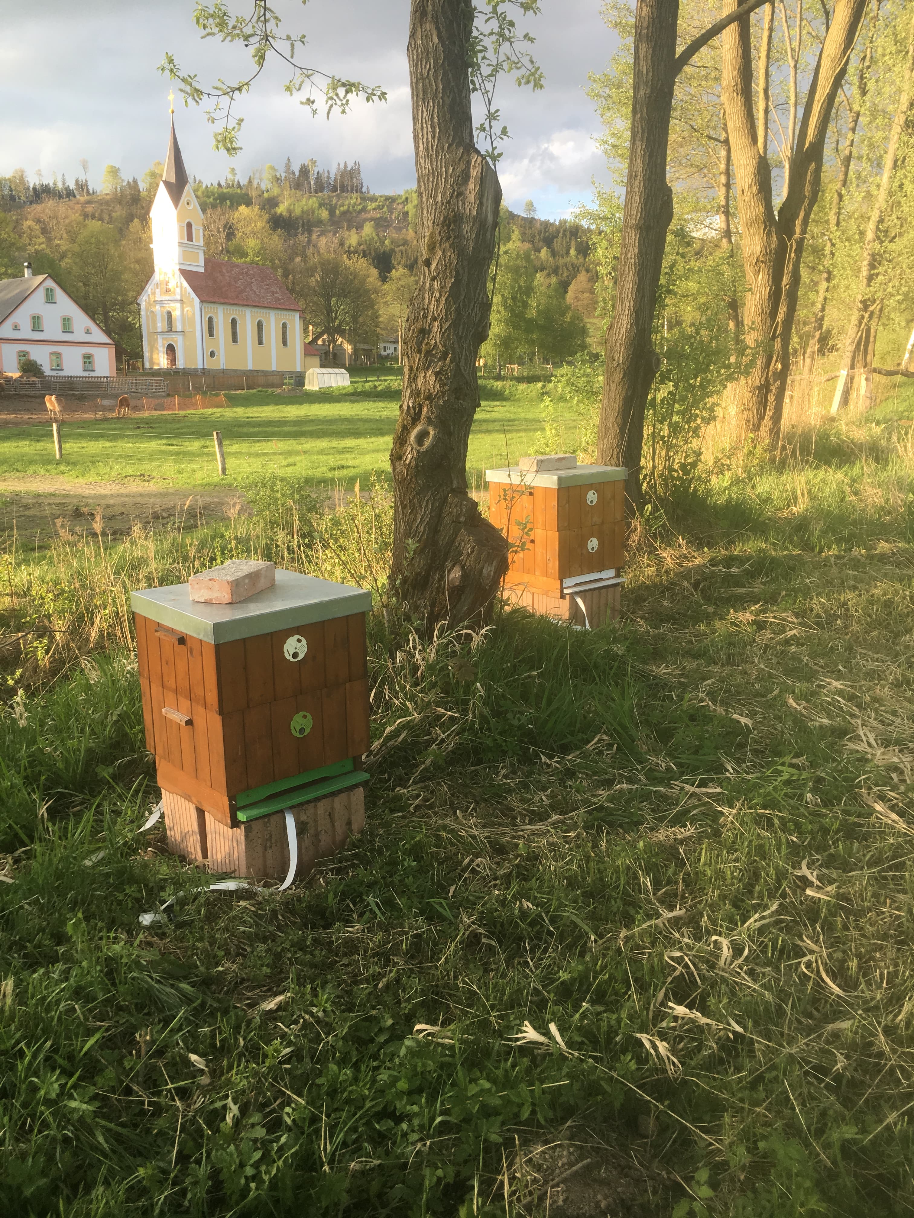 Farma V30 Heřmanice
