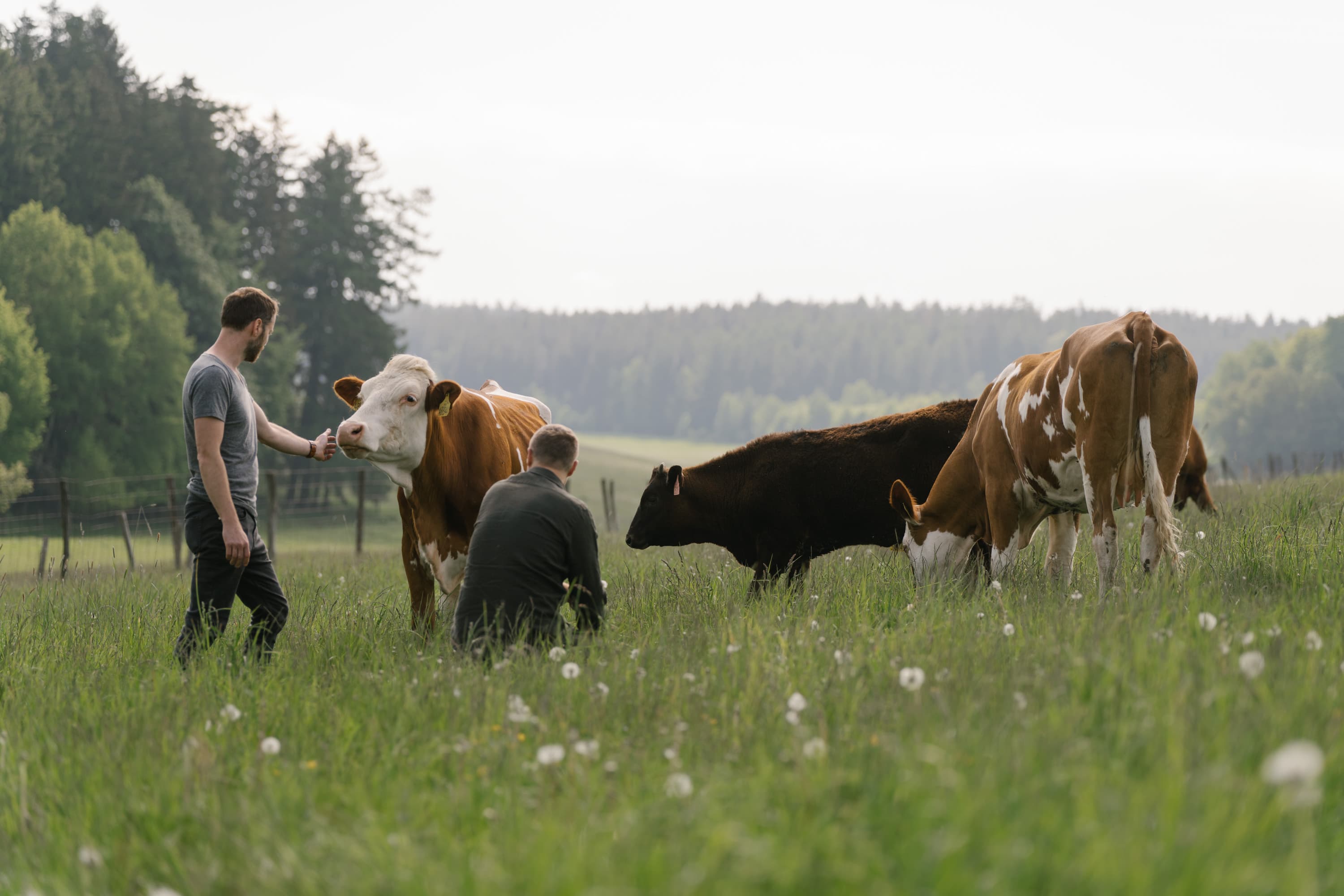 Fotografie farmy Farma Horky, s.r.o.