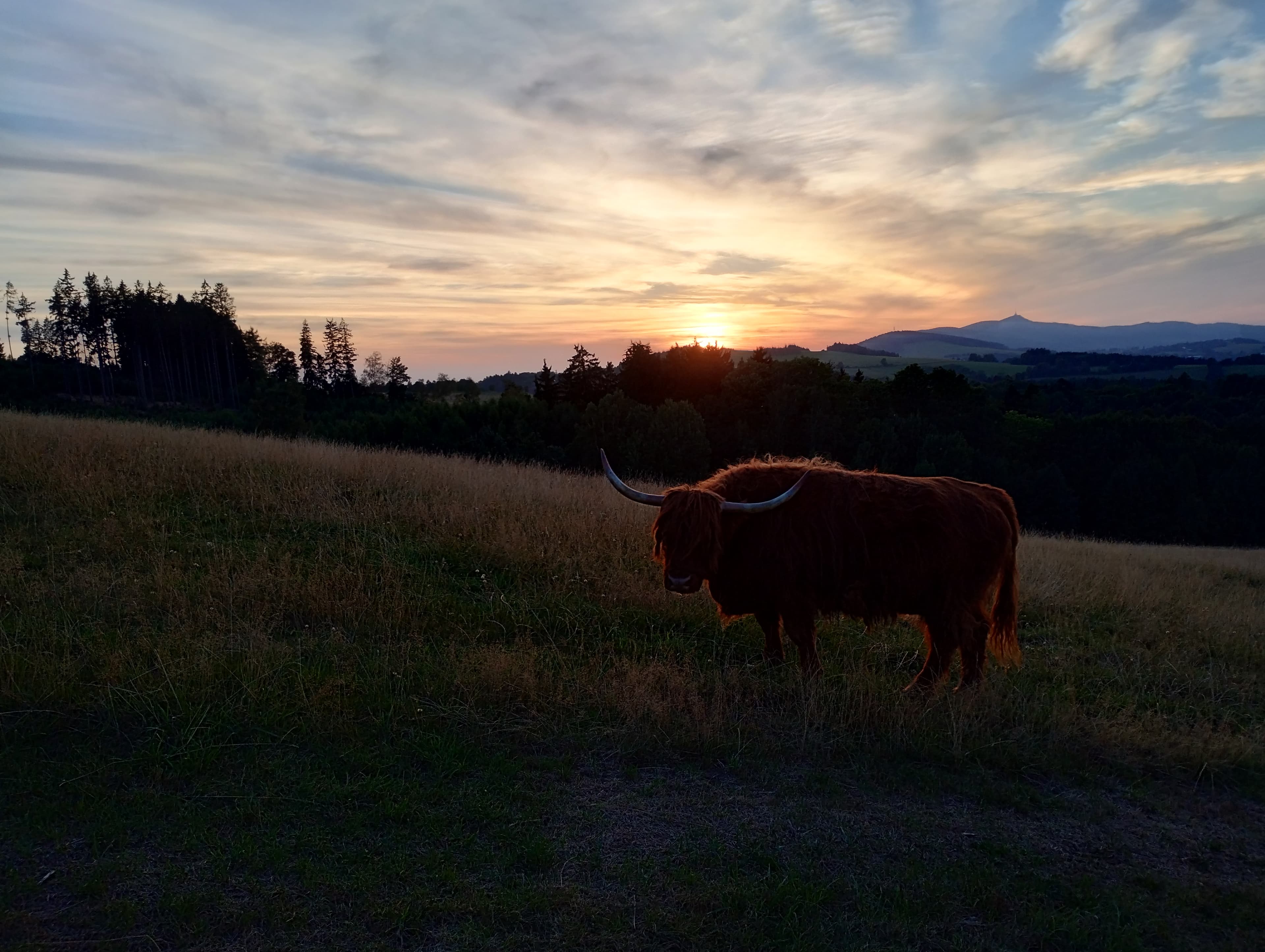 Fotografie farmy LITTLE FARMERS - ubytování na farmě