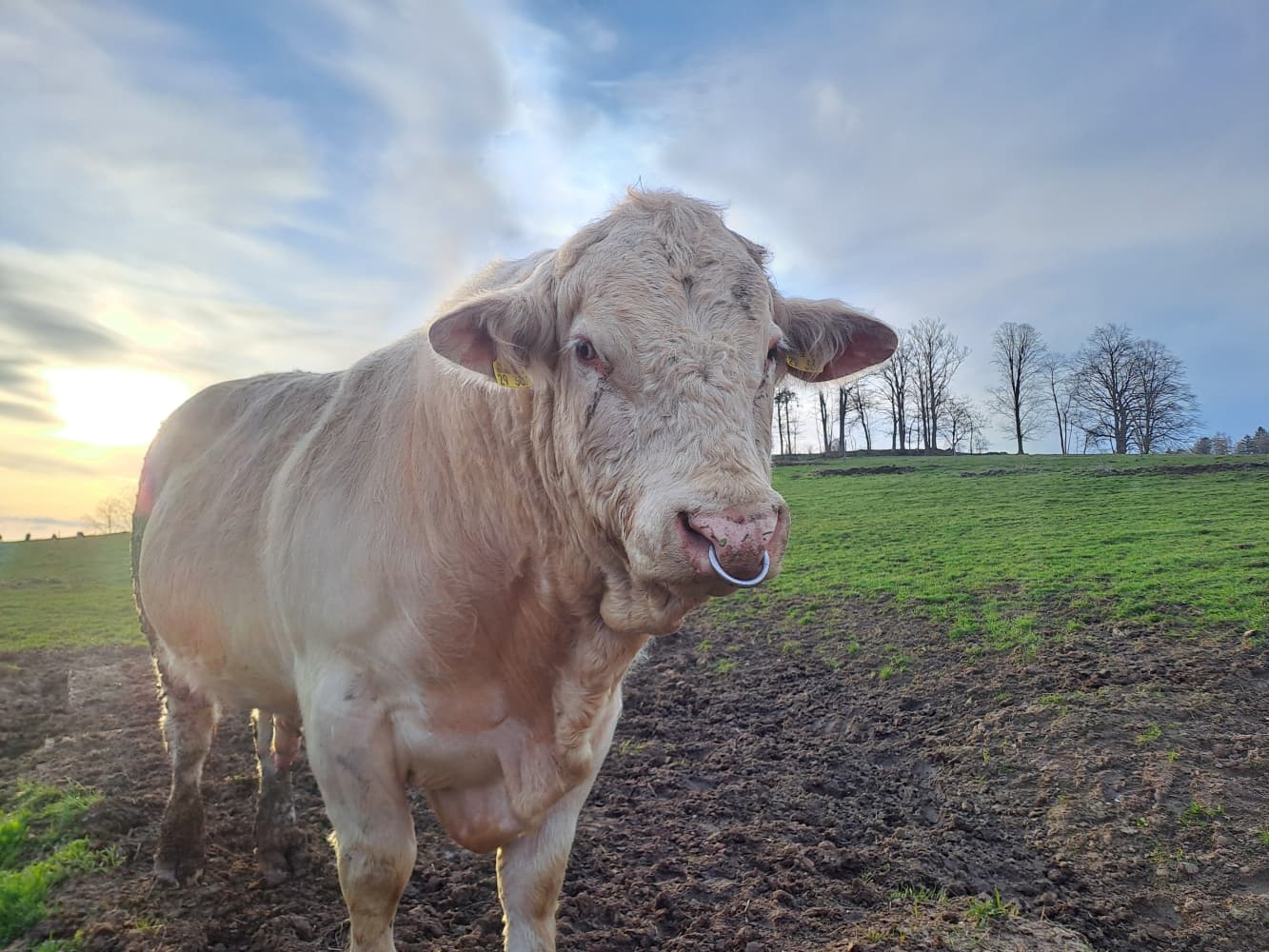 Fotografie farmy Rodinná farma Boučí