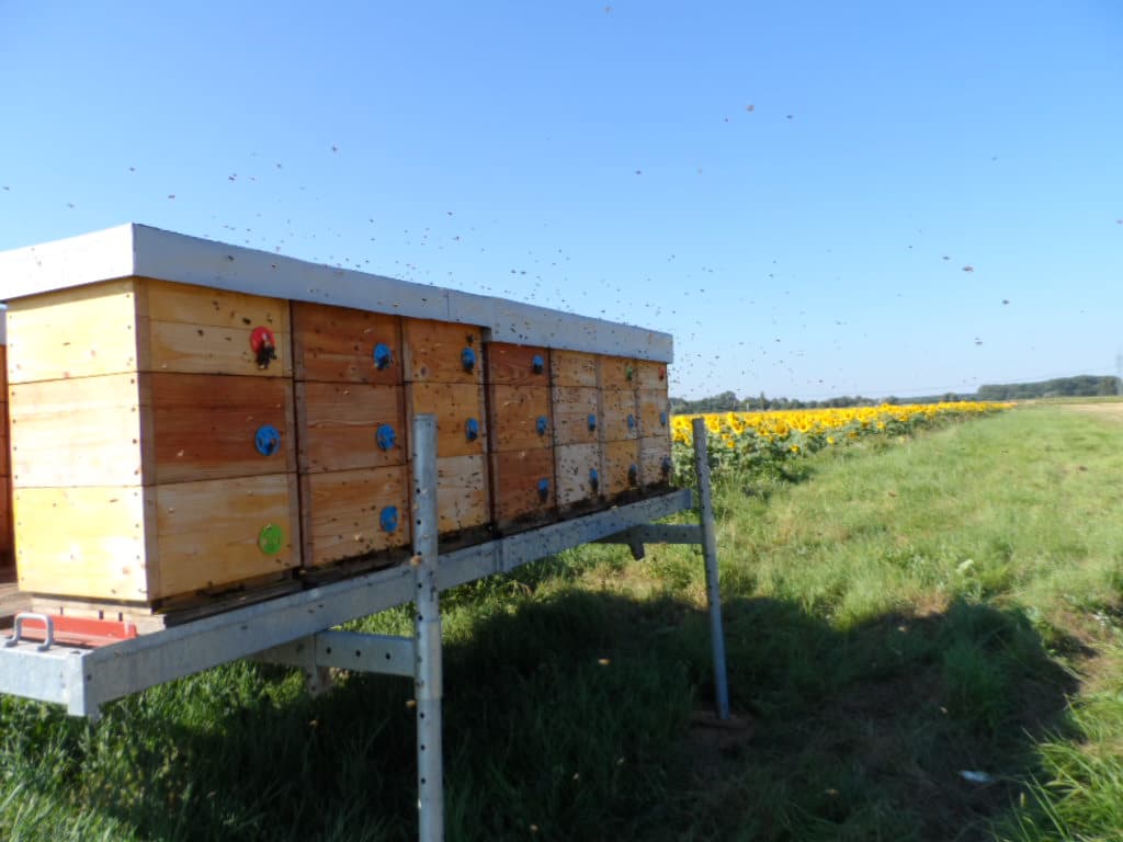 Fotografie farmy Včelařtví Vracov
